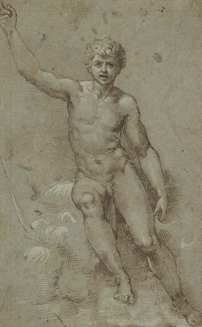 Saint John in the Wilderness by Giovanni Francesco Penni